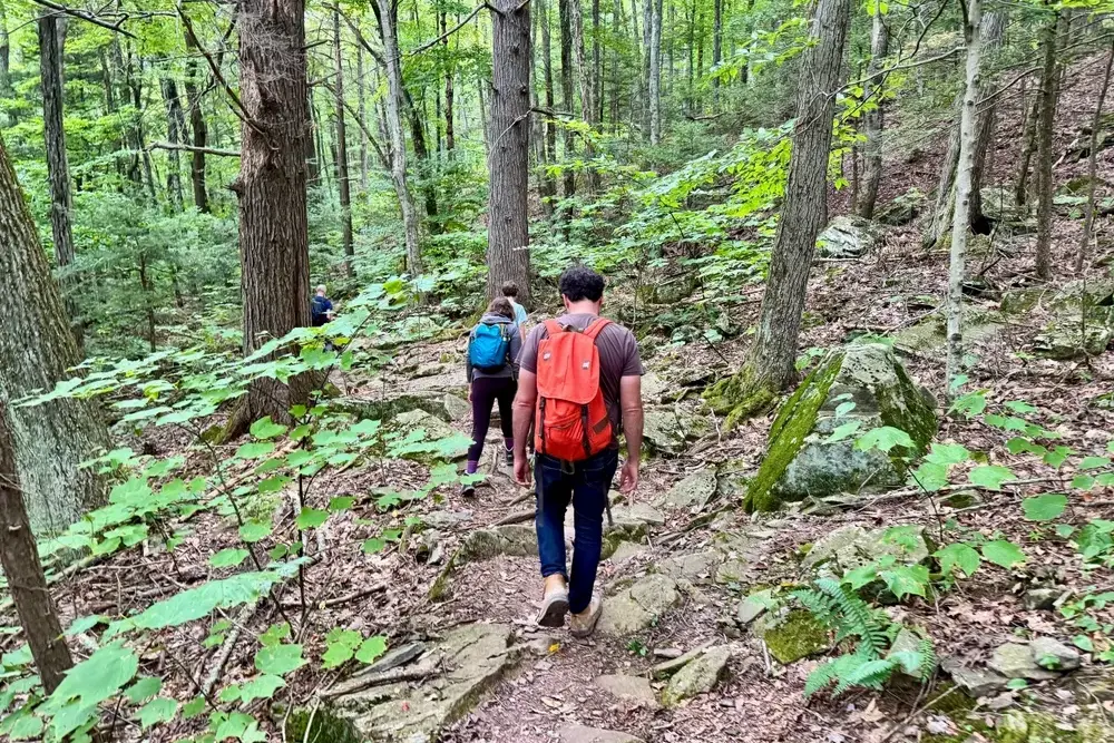 Epic Vacation Ideas: Hiking in Callicoon Center