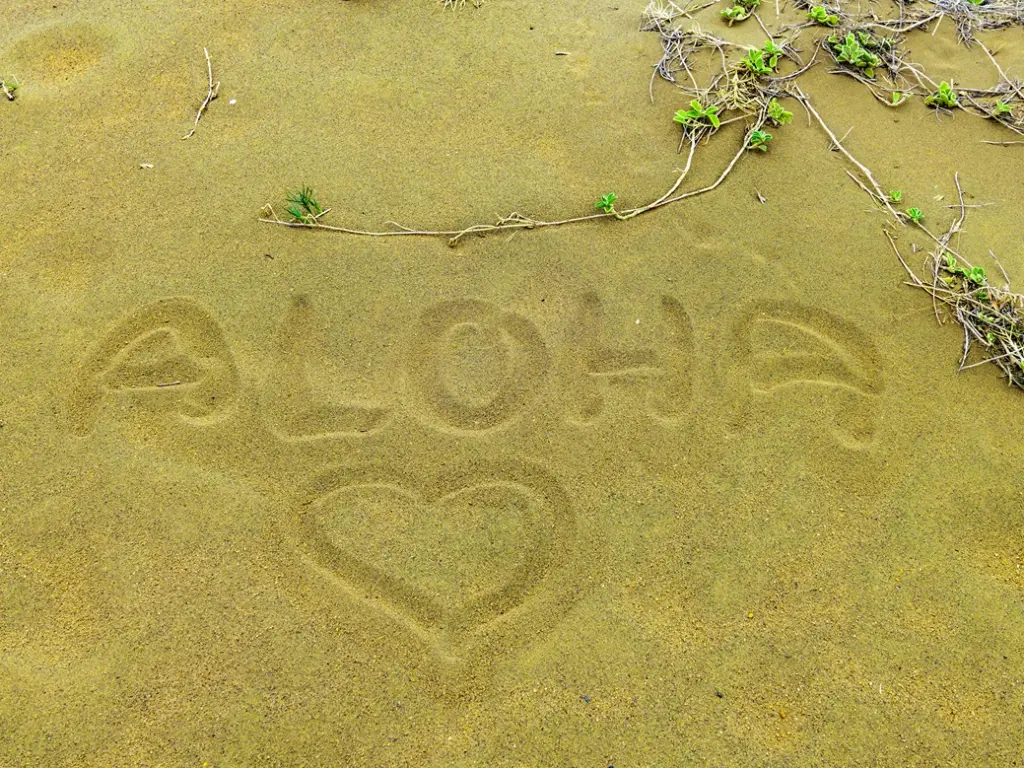 The word 'ALOHA' and a heart drawn in the sand with small green plants nearby. Best time to visit big island