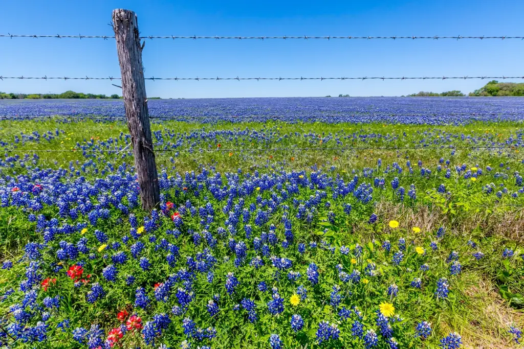 Best Time to Visit Hill Country