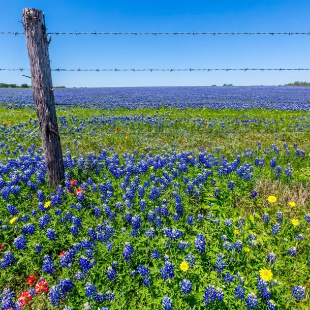 Best Time to Visit Hill Country