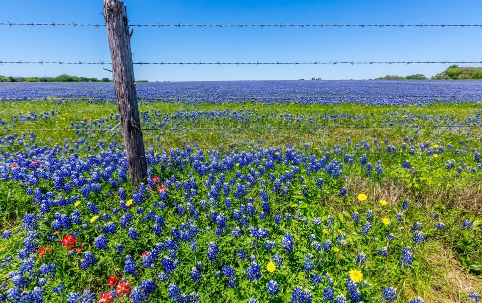 Best Time to Visit Hill Country