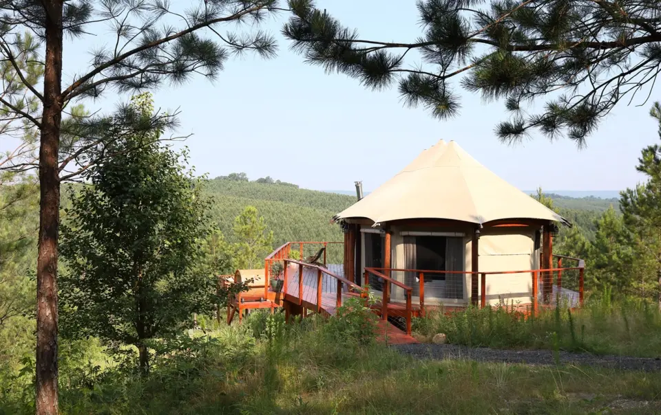 Scenic view of luxury safari tents southeast usa, featuring a canvas tent and a large wooden deck in a pine forest.