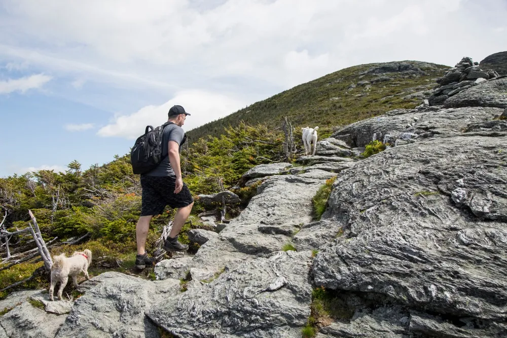 Hiking Stowe