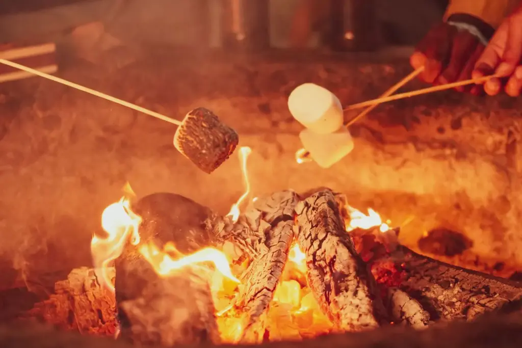 Dog Friendly Boutique Hotels Vermont: Outbound Stowe Fire Pit