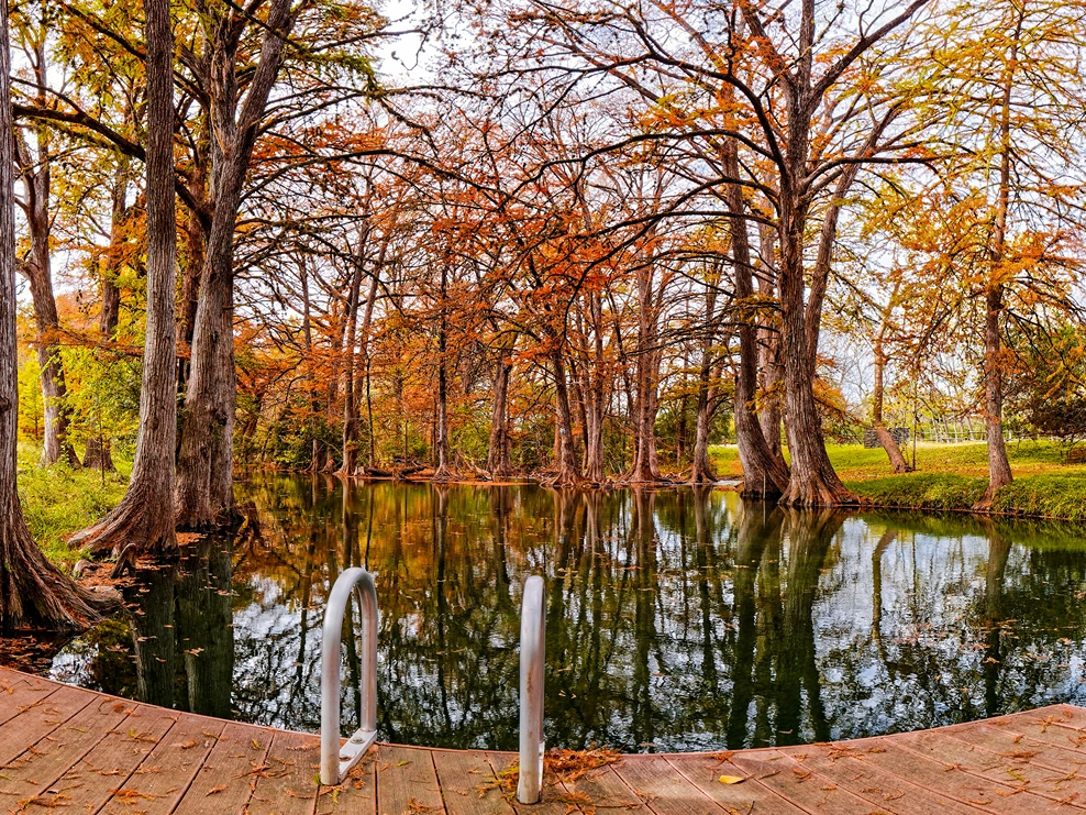 Fall foliage on cypress trees reflecting in the calm waters of Blue Hole swimming area from a wooden dock.