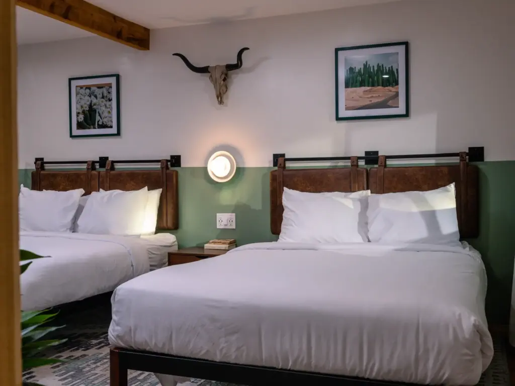 Modern Southwestern hotel room featuring two beds with leather headboards and a mounted longhorn skull.