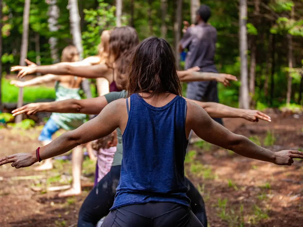 People stretching their arms together in a forest clearing, a calming activity at secluded yoga retreats north carolina.