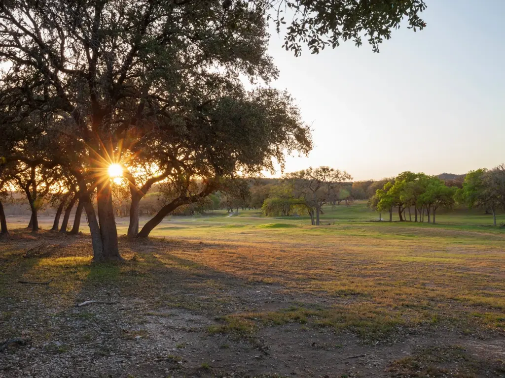 Sunset sunburst through oak trees on a grassy field near the blanco river in the Texas Hill Country.
