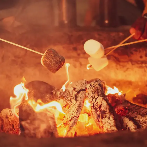 Marshmallows roasting on wooden skewers over a roaring, golden campfire flame at night.