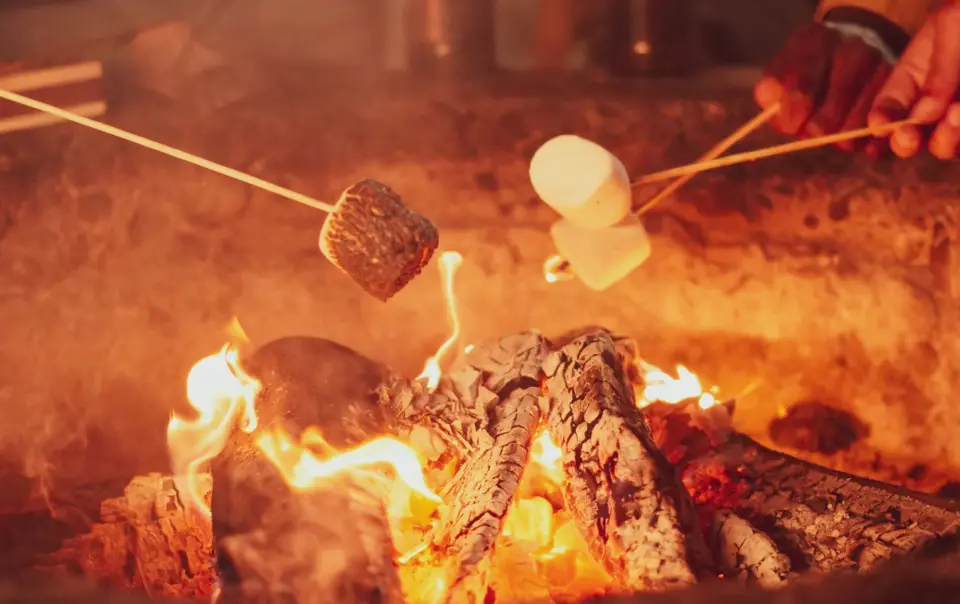 Marshmallows roasting on wooden skewers over a roaring, golden campfire flame at night.