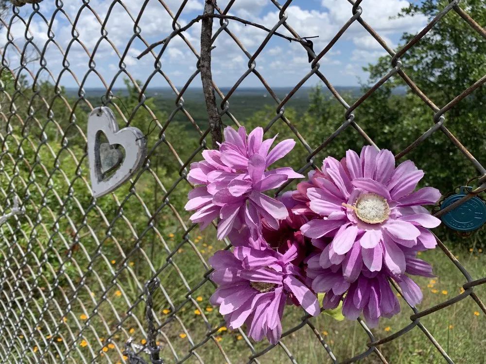 Purple silk flowers and a white heart ornament attached to a rusty chain-link fence overlooking a green Texas hill country landscape.