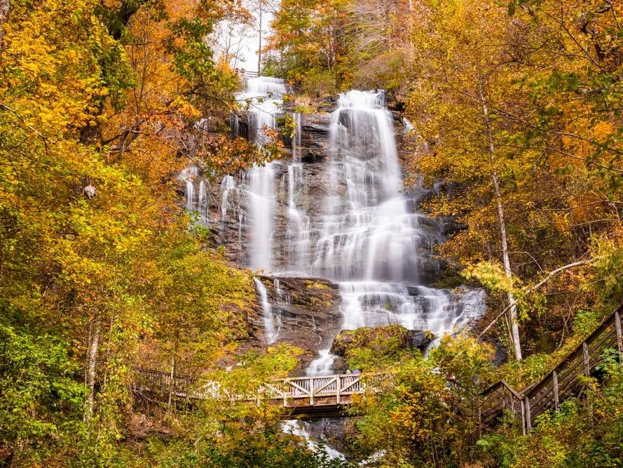 Fall Activities: Summerville GA