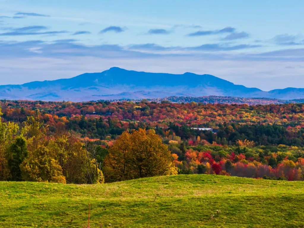 Mount Mansfield rises above a dense forest of vibrant autumn foliage under a blue sky.