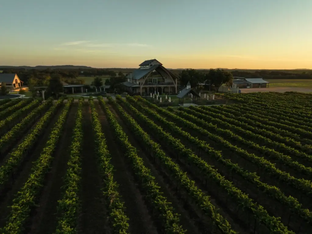 Aerial view of neat grapevine rows at a Texas Hill Country winery and event venue at sunset.