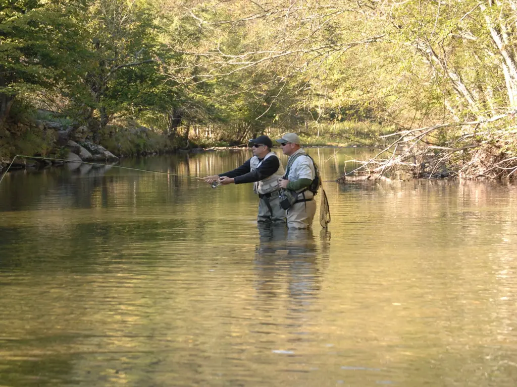 Two men wearing waders stand in a shallow, tree-lined river casting lines while fly fishing on a sunny day.