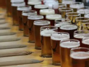 Rows of pint glasses filled with golden amber beer lined up on a wooden bar counter.